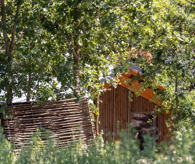 gite-ecologique-bois-les-safranieres
