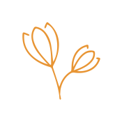 LOGODEF-LESSAFRAN-COULEUR-pictogramme-blanctournant